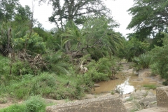 Flussbett