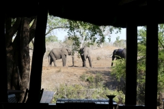Imbali Lodge