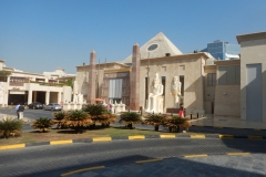 DSCN2110