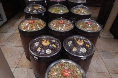 DSCN2114